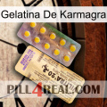 Karmagra Jelly new06